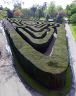 The UK's oldest surviving hedge maze